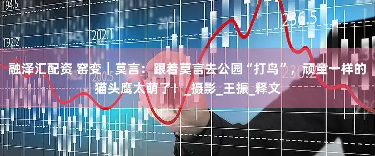 融泽汇配资 窑变｜莫言：跟着莫言去公园“打鸟”，顽童一样的猫头鹰太萌了！_摄影_王振_释文