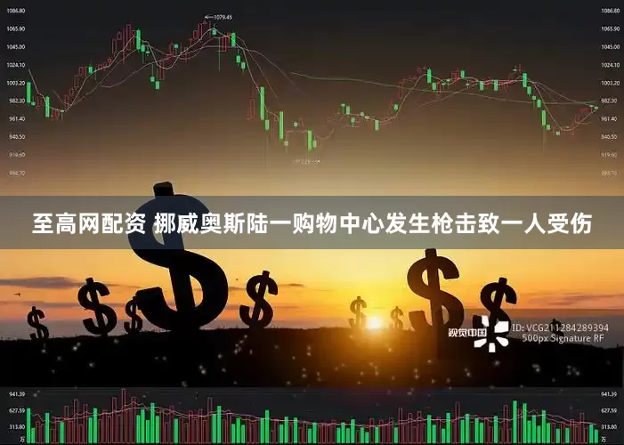 至高网配资 挪威奥斯陆一购物中心发生枪击致一人受伤