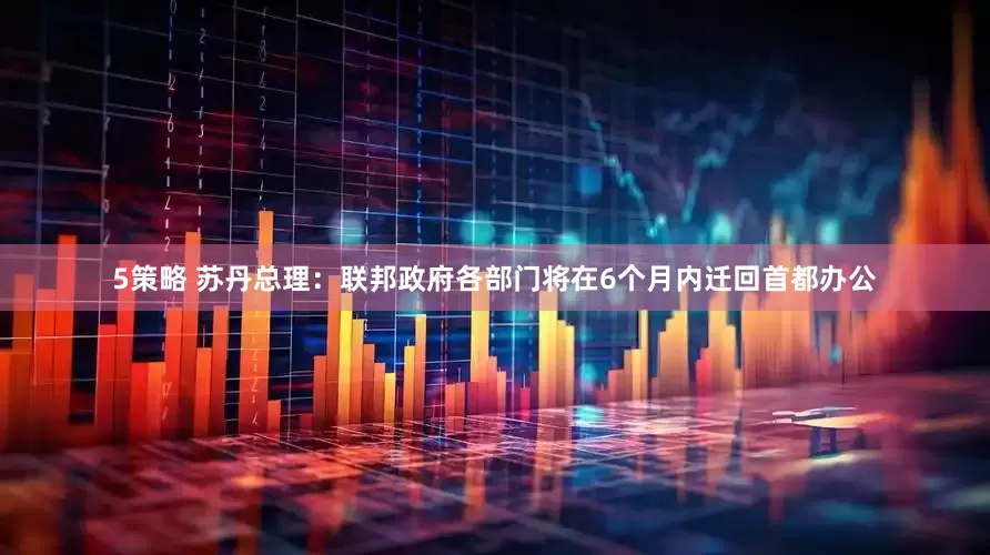 5策略 苏丹总理：联邦政府各部门将在6个月内迁回首都办公