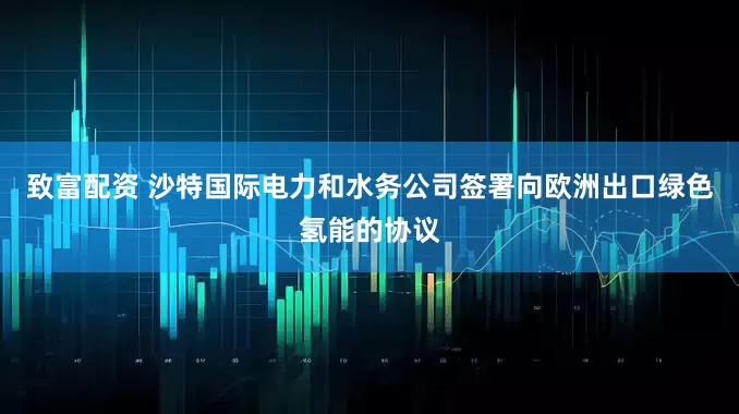 致富配资 沙特国际电力和水务公司签署向欧洲出口绿色氢能的协议