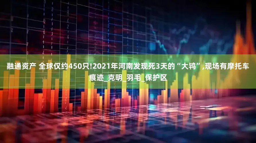 融通资产 全球仅约450只!2021年河南发现死3天的“大鸨”,现场有摩托车痕迹_克明_羽毛_保护区