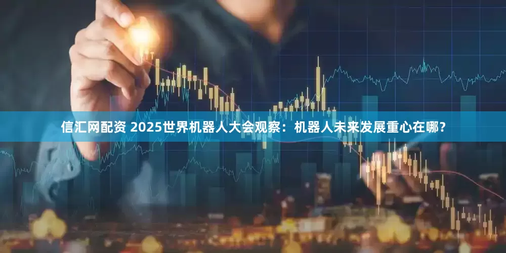 信汇网配资 2025世界机器人大会观察：机器人未来发展重心在哪？