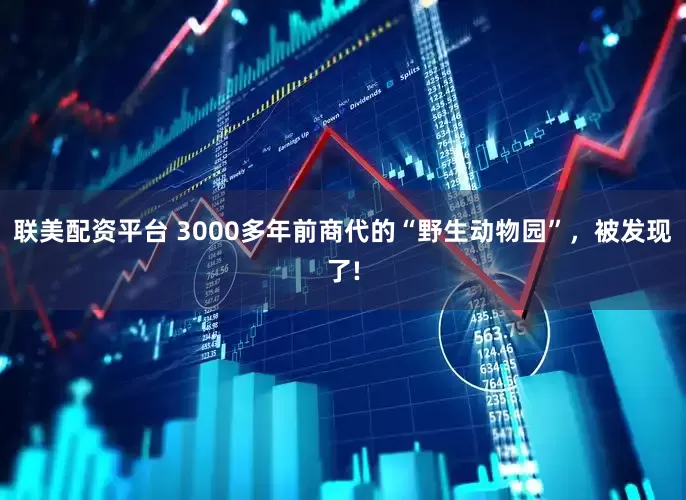 联美配资平台 3000多年前商代的“野生动物园”，被发现了!