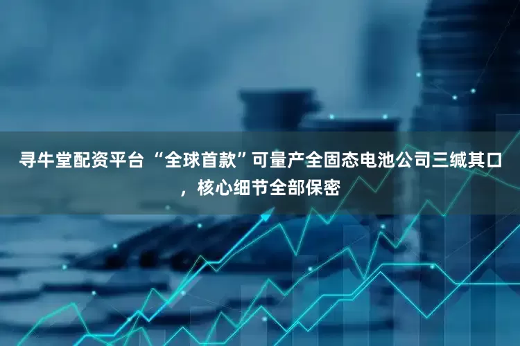 寻牛堂配资平台 “全球首款”可量产全固态电池公司三缄其口，核心细节全部保密