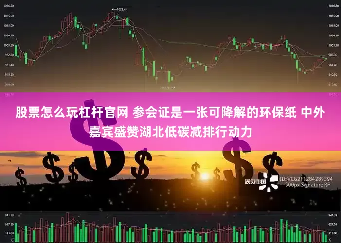 股票怎么玩杠杆官网 参会证是一张可降解的环保纸 中外嘉宾盛赞湖北低碳减排行动力